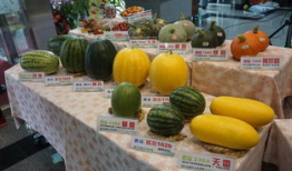 沛县吃瓜最新事件爆料,揭秘背后真相与争议