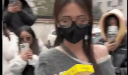 各种吃瓜爆料视频大全集,揭秘娱乐圈幕后真相