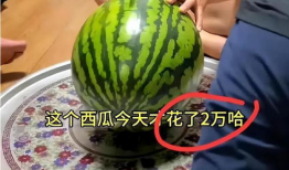 西瓜视频吃瓜爆料博主