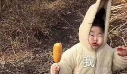 沙雕吃瓜爆料图片搞笑,爆笑瞬间，笑出腹肌！