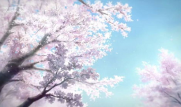 樱花动漫最新,绽放青春，演绎梦幻世界